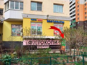 Фотография копицентр Важные шишки 5