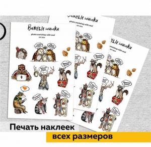 Фотография Важные шишки 0