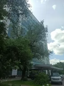 Фотография Апрель 5